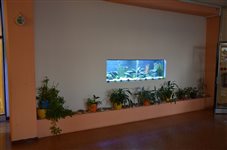 dsc 0203